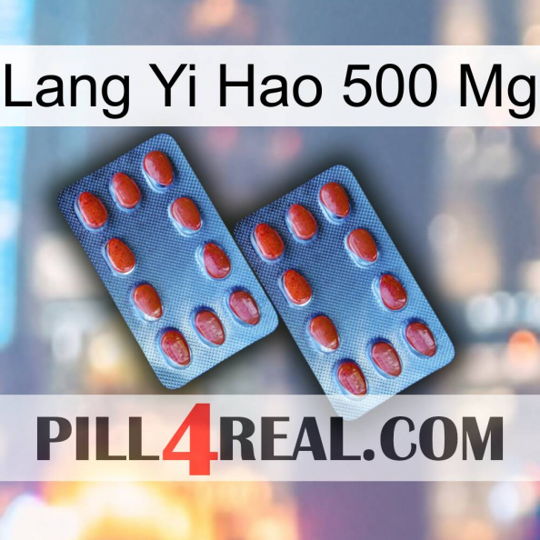 Lang Yi Hao 500 Mg 05.jpg